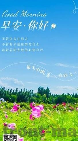 足球比分直播吧-足球比分直播吧，绿茵场上的实时心跳，球迷的激情港湾
